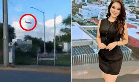 Dalin pamjet, prezantuesja humb jetën gjatë një mësimi fluturimi në Meksikë